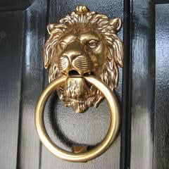 Gleaming copper lion head door knocker on a dark door, elegant home decor.